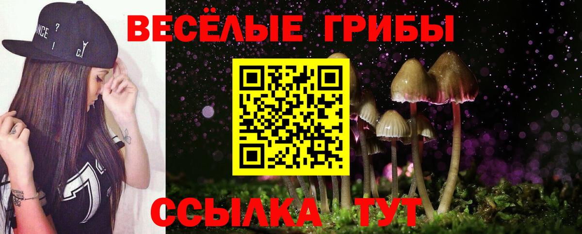 Псилоцибиновые грибы ЛСД  Псилоцибиновые грибы ЛСД  Калач-на-Дону  Вход с VPN 